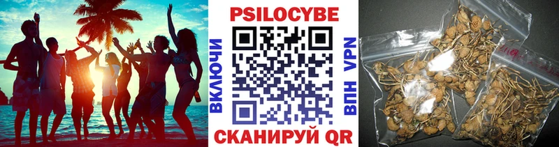 Галлюциногенные грибы мицелий  мориарти состав  Богородицк 